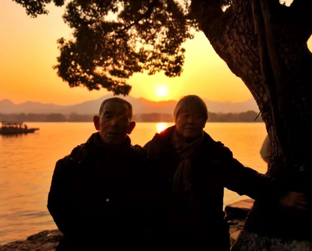 被拐卖的奶奶22年,被拐卖的奶奶后续