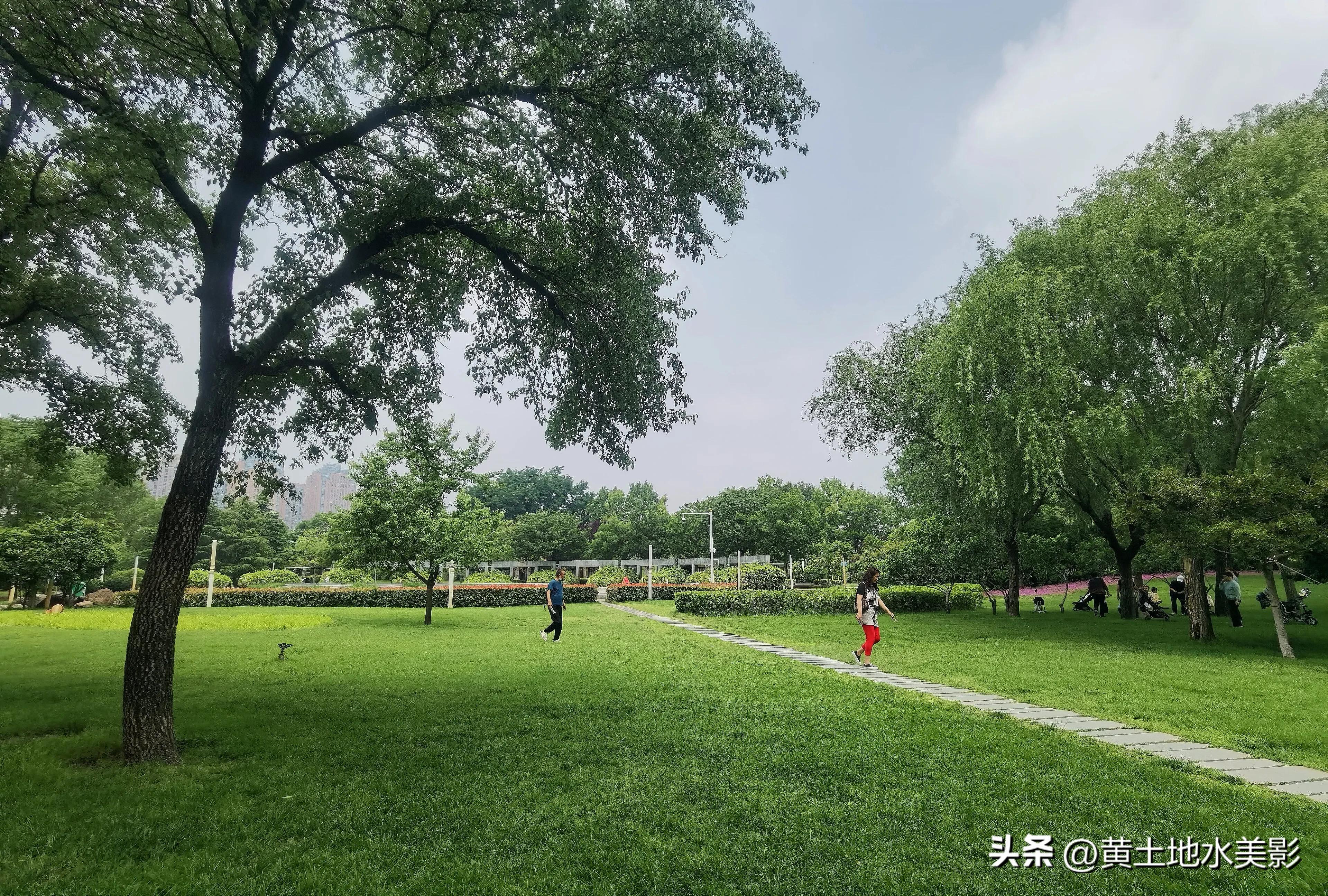 郑州儿童节周边游,郑州室外适宜小朋友游玩的景点