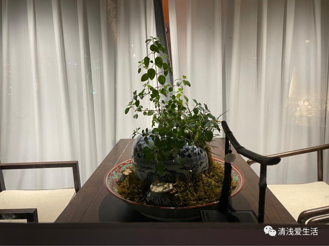 欣赏景德镇邹资良陶瓷艺术作品选,景德镇人气最旺的瓷器街