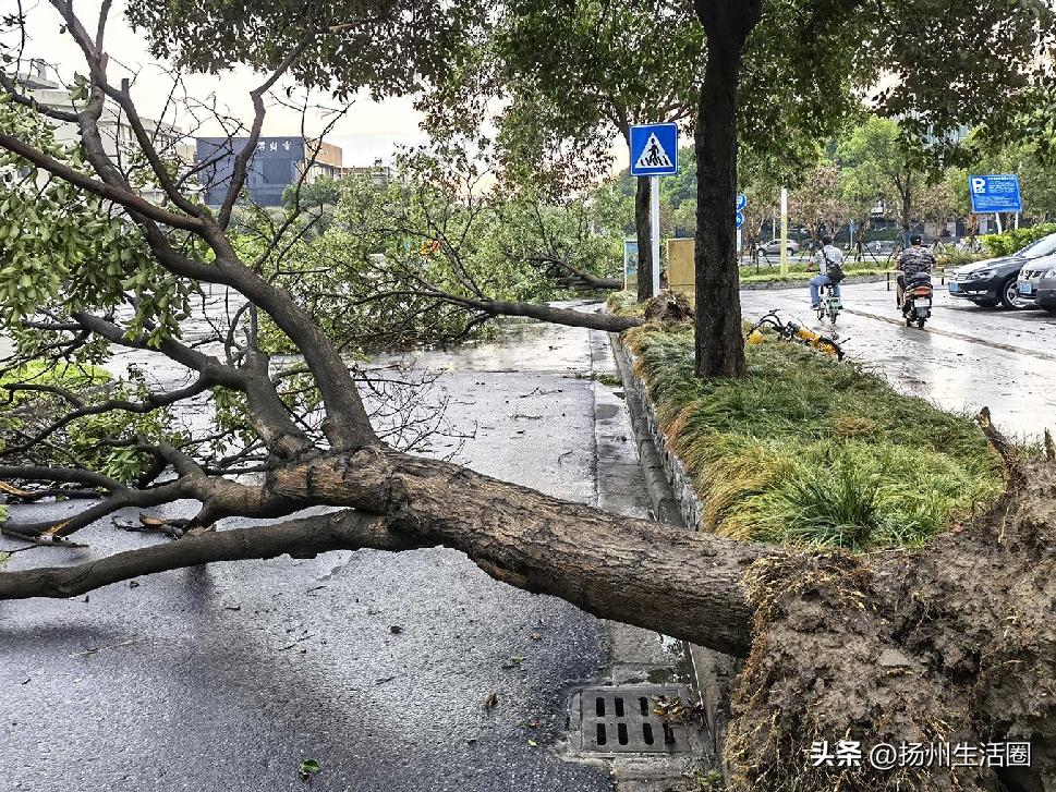 扬州夏天最热多少度,扬州苏州夏天哪个热
