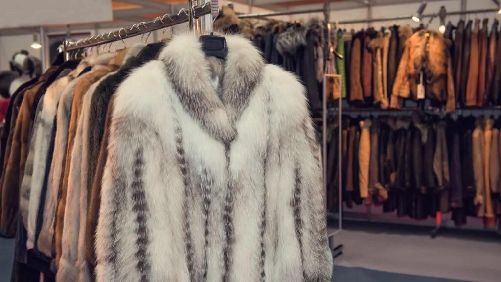 为何大衣不流行了,为什么皮草不流行了