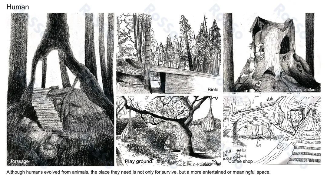 rosso留学怎么样,rosso留学咋样