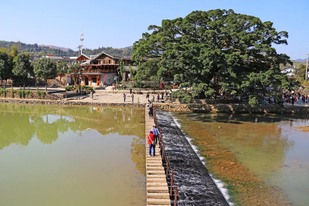 厦门旅游攻略亲子五天四晚冬季游,厦门晚上亲子旅游