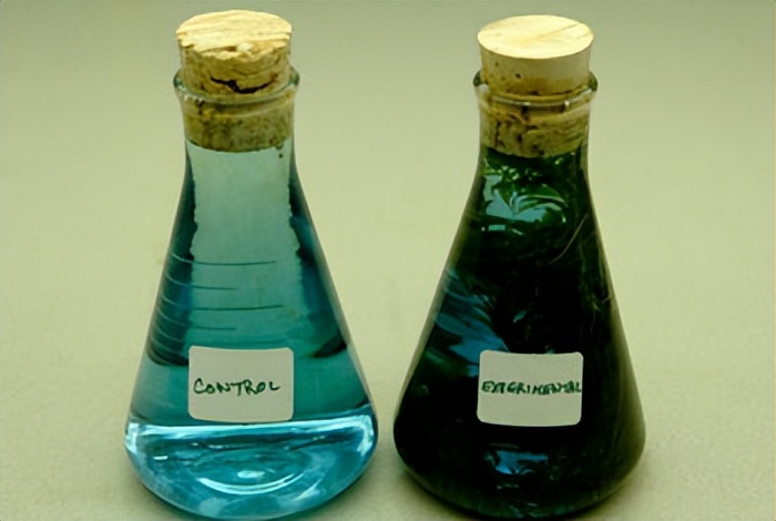 纤维素基水凝胶,纤维素水凝胶