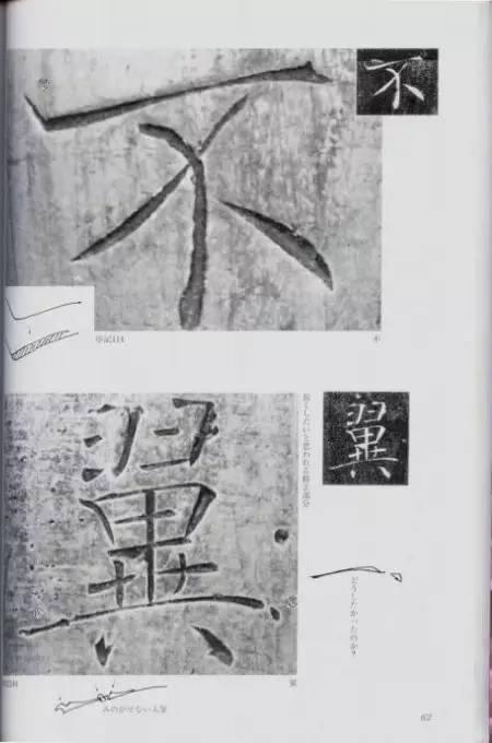 宸ョ瑪鐢绘潹鏅箟鐢诲唽,鏉滈箖鏉ㄦ櫘涔夊畬鏁寸増