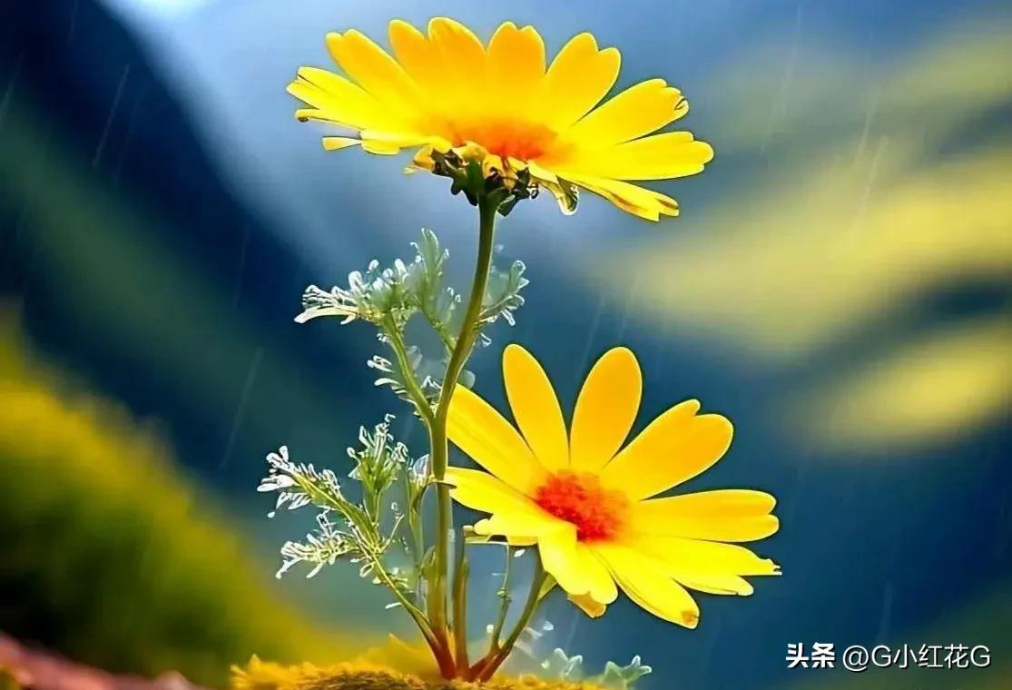 对联知识与禁忌,对联知识讲座