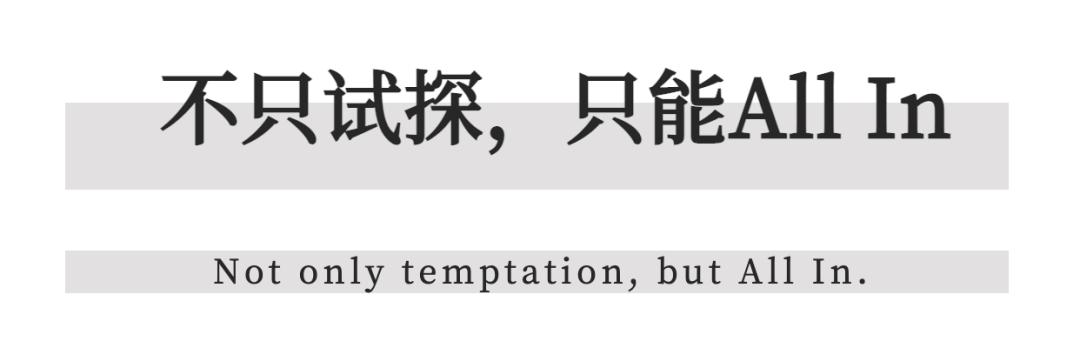 鍗楁磱杩厠楂樺畾绯诲垪,鍗楁磱杩厠杞诲ア楂樺畾