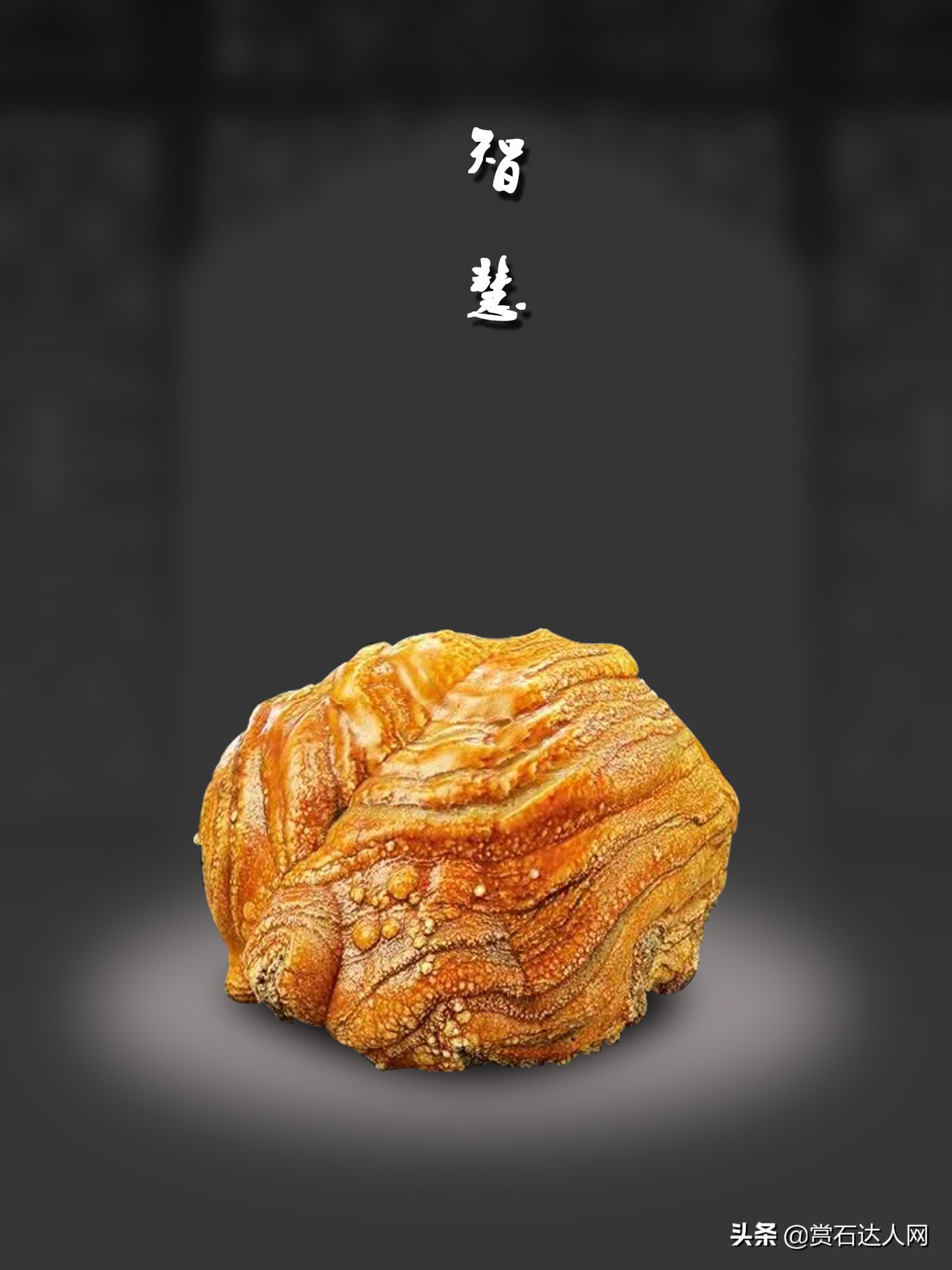 奇石投资与投机的风险及规避措施初探