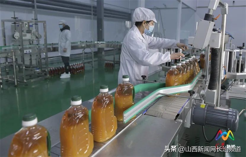 上*党**区：“吃干榨净”小花椒做出产业大文章