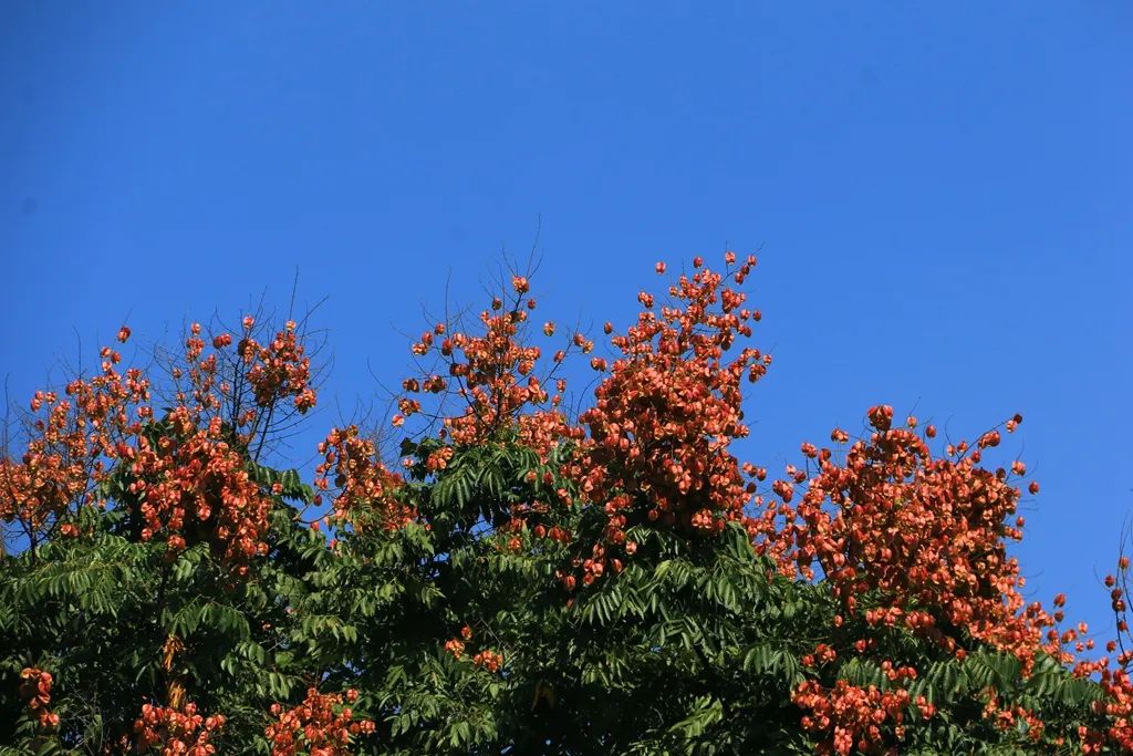 最近的泰兴,泰兴现在的样子