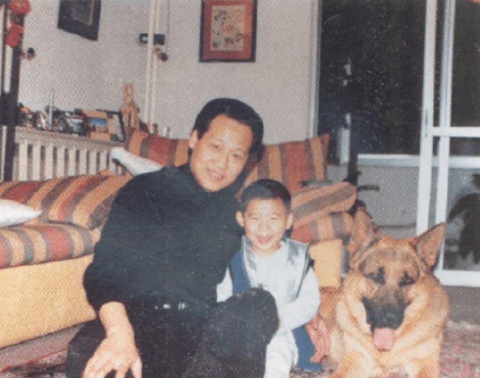 刘亦菲杨采钰比较 (刘亦菲陈金飞杨采钰微博)