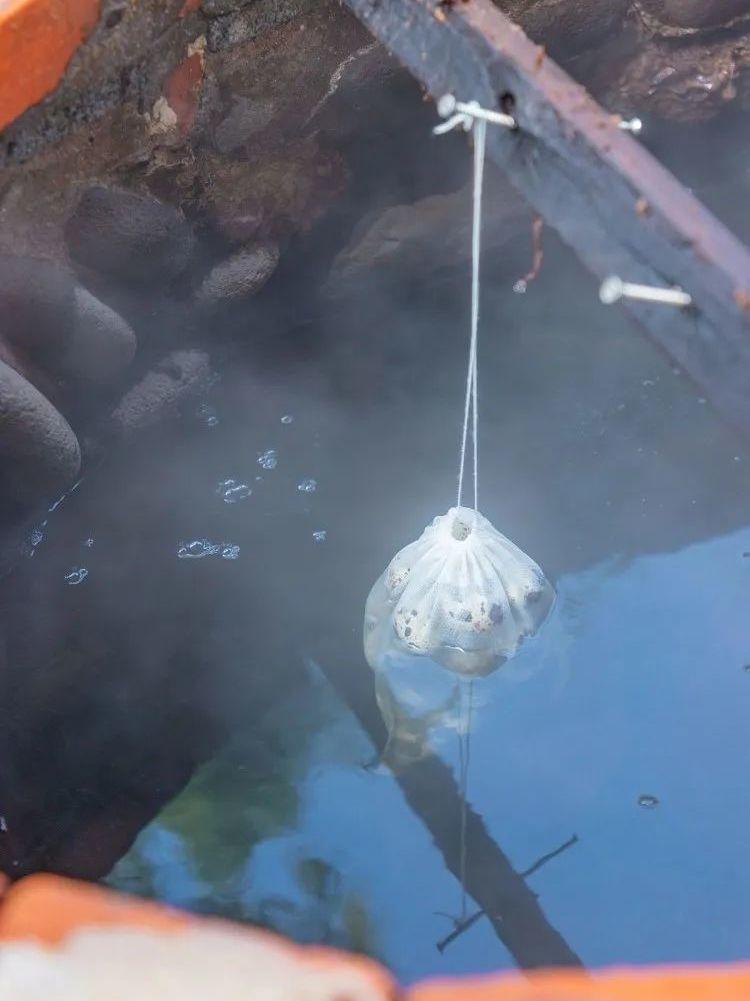 厦门泡温泉日月泉,冬季室外温泉别样感受