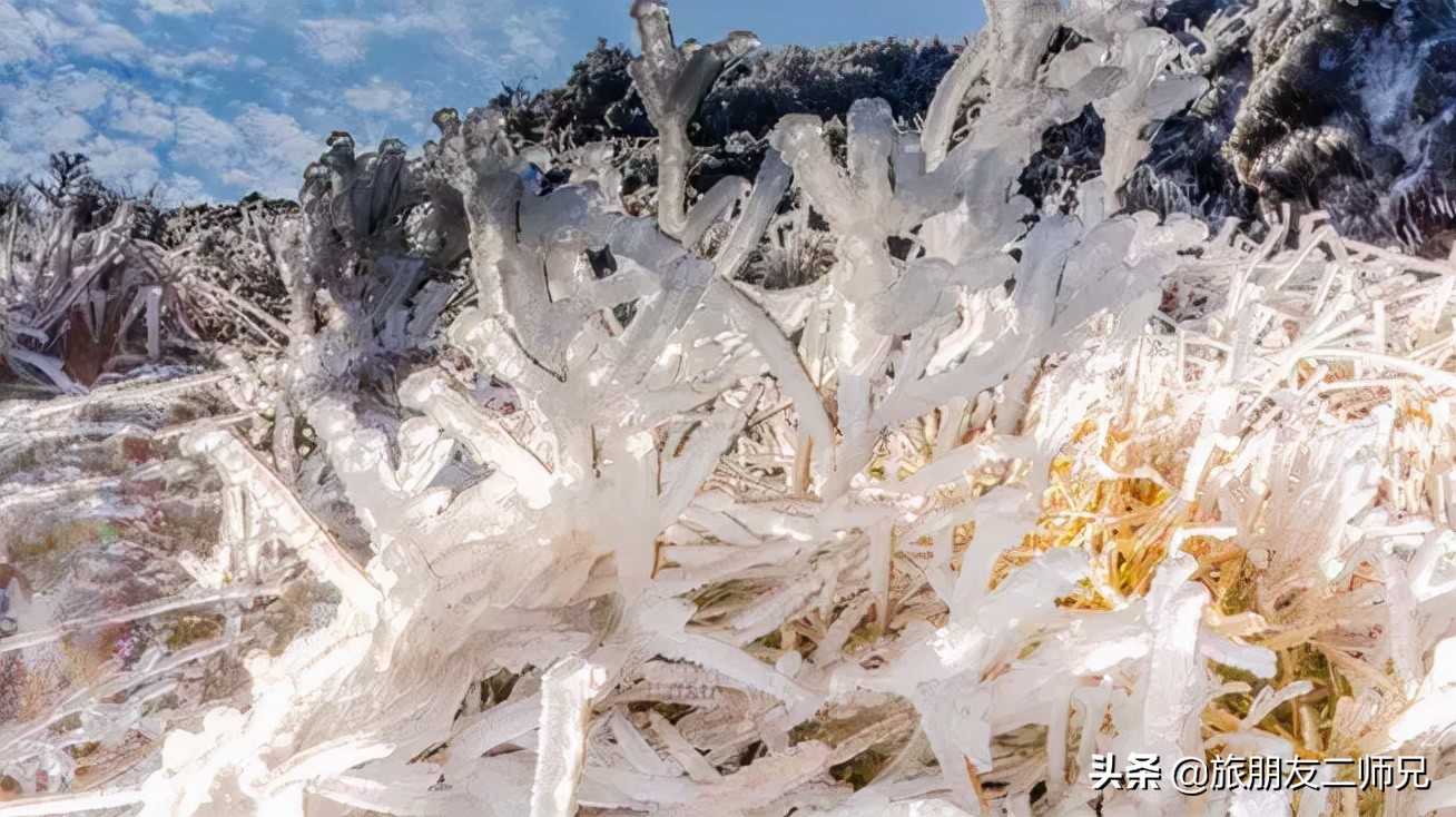 清远金子山旅游攻略看雾凇,广东金子山雪景旅游攻略