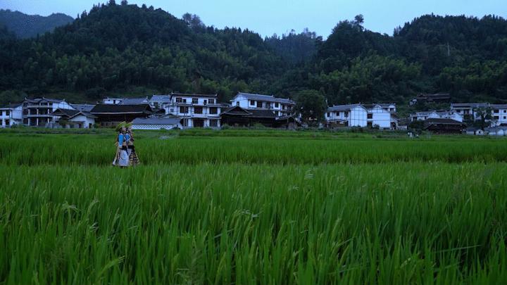 贵州省5起乡村振兴典型案例通报,乡村振兴中可以做哪些景观设计