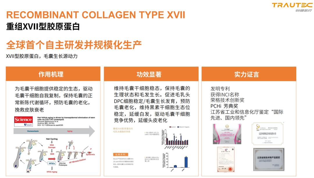资生堂投资中国有限公司,资生堂中国投资公司