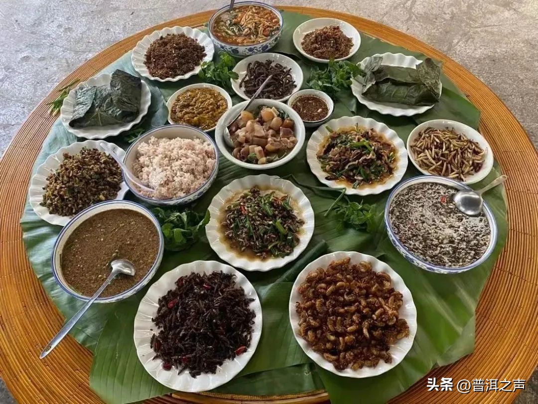 有一种味道叫普洱丨花吃够了，该吃虫了！