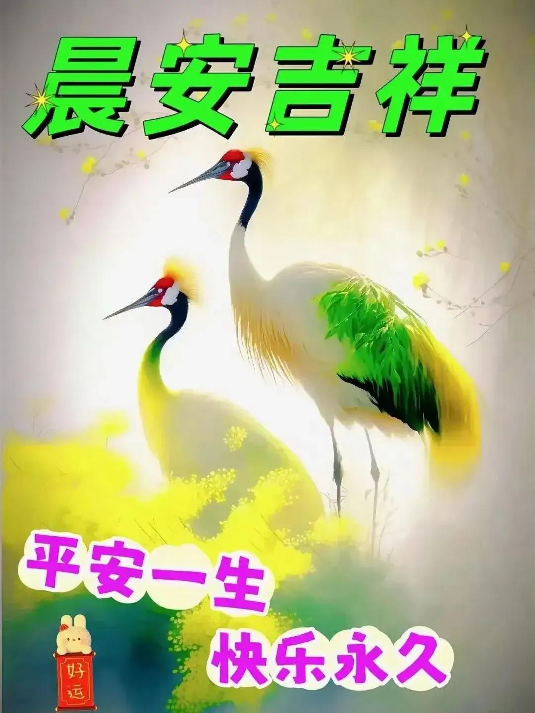 庚子日柱2023年癸卯年运势,癸卯年2023年哪个月出生最好