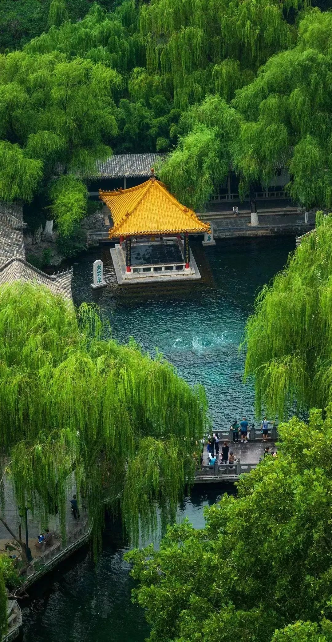 济南元素再一次火爆“出圈”！省长推介的诗意济南是什么样子的？