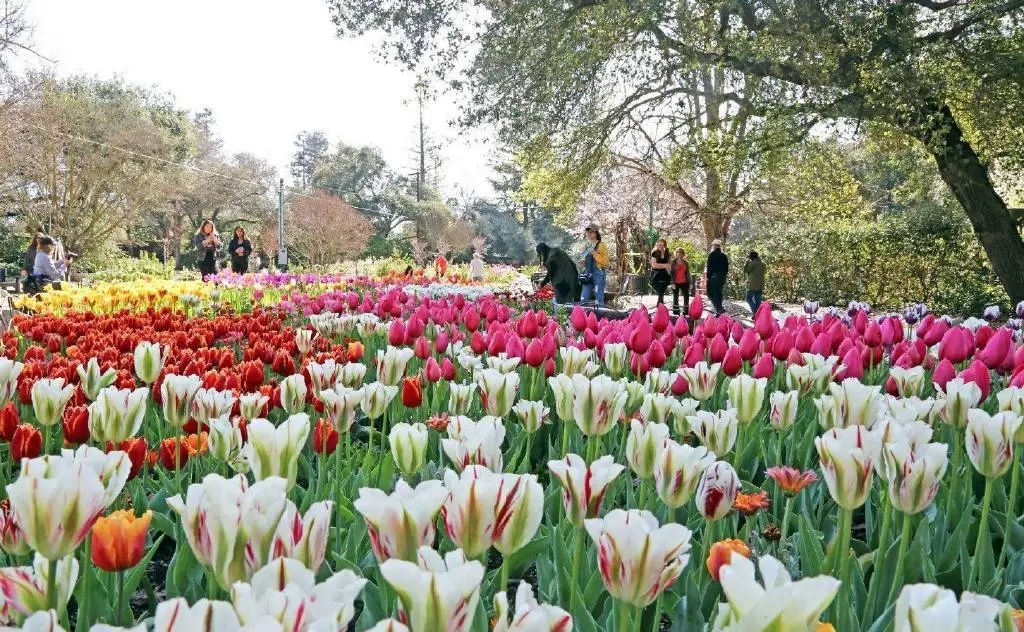 最美的十座园林,中国十大最美园林之留园