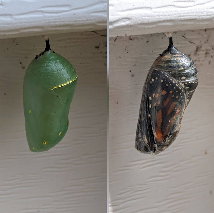 展示时间视频素材,展示时间的照片