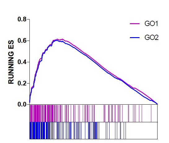 gsea怎么用,gsea数据怎么解读