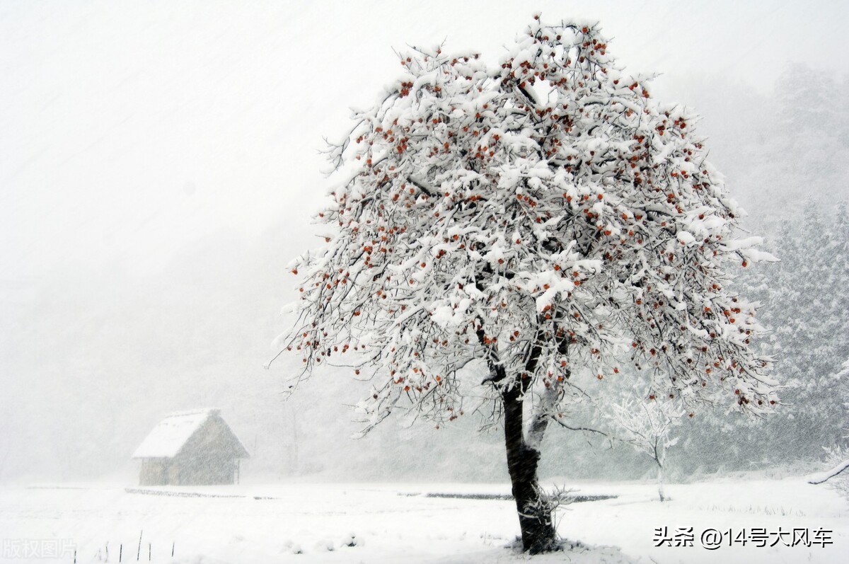 最有诗意的雪景最浪漫的雪景,富有诗意的长白山雪景