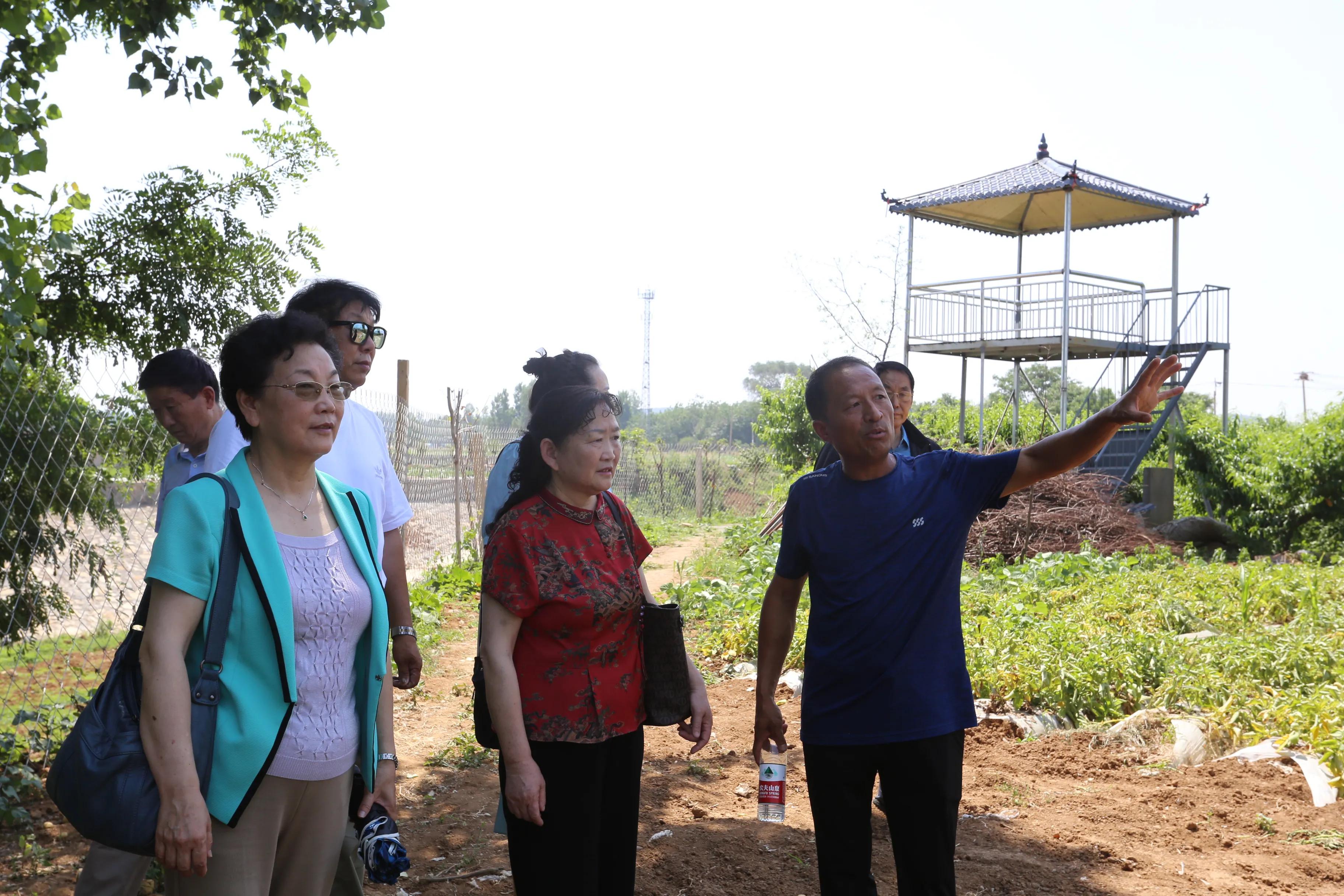 唠家常叙亲情谈未来老知青回访辘轳井记者杨军孙明春