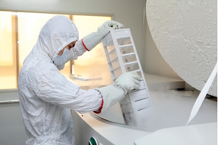 滋养细胞制备法有望标准化优质效应NK细胞供应获*局破**