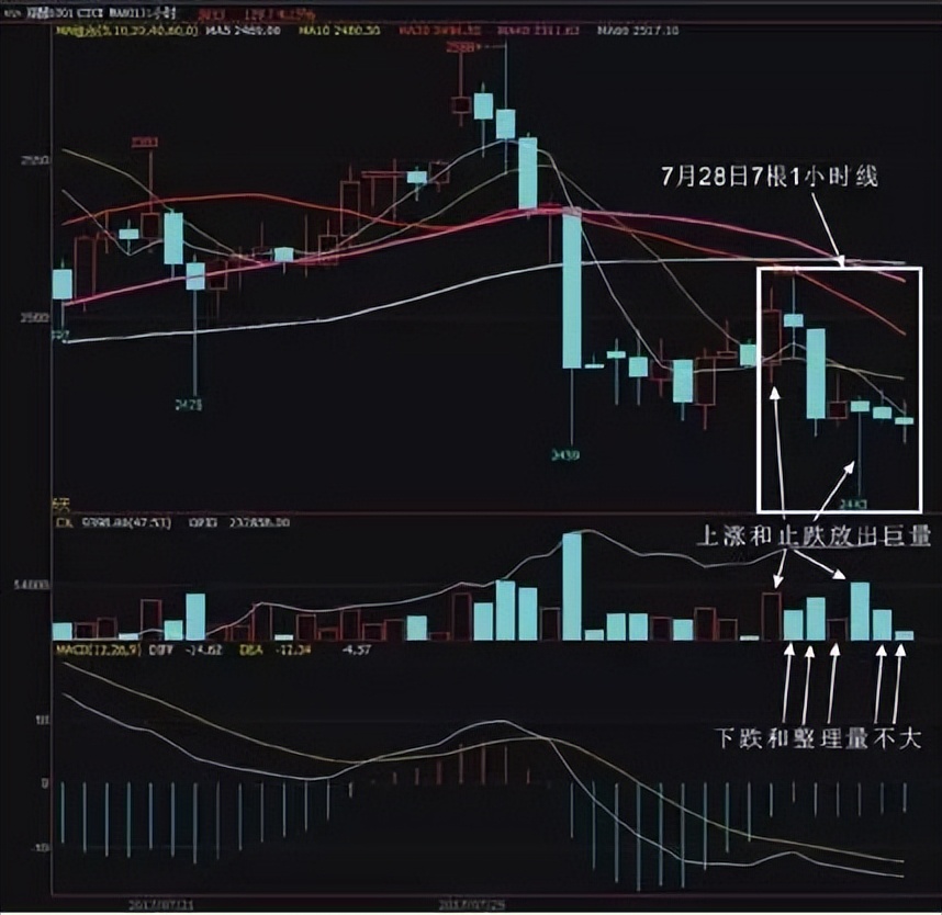 被“夜老虎”打趴下去后，我如何成为一个稳定盈利的“狩猎者”？