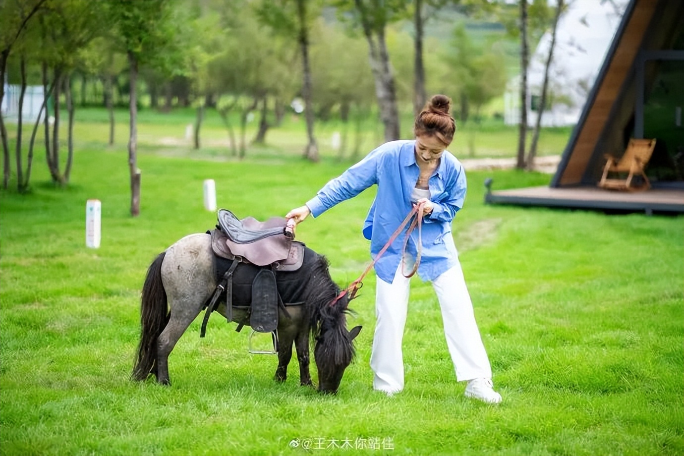 可以驱车直接上山的露营地,大自然馈赠的绝佳露营地