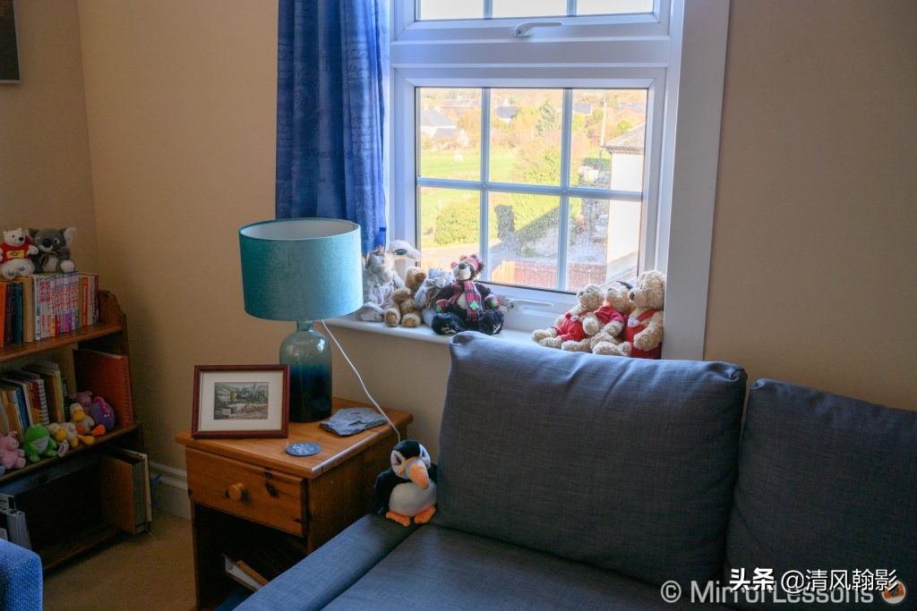 拍鸟用尼康d6好还是z7ii好,拍鸟买r6还是r5