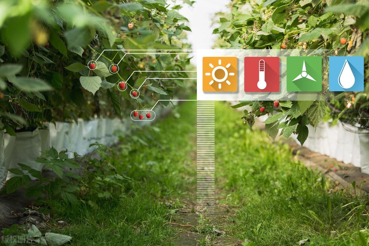 国有农场经营模式有哪些,农场直供模式的盈利模式有哪些