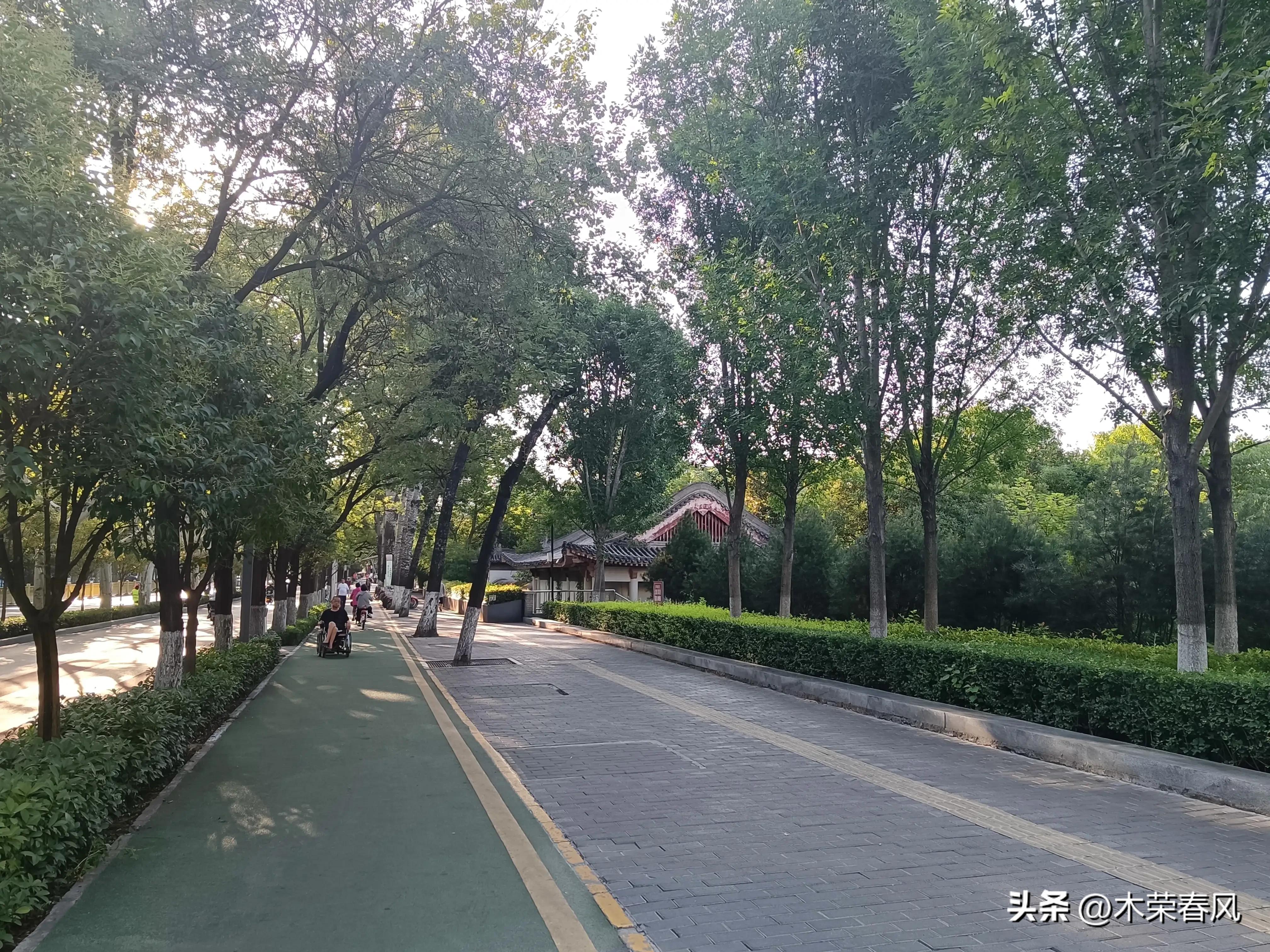 莲湖公园看荷花几点合适,莲湖公园荷花怎么走