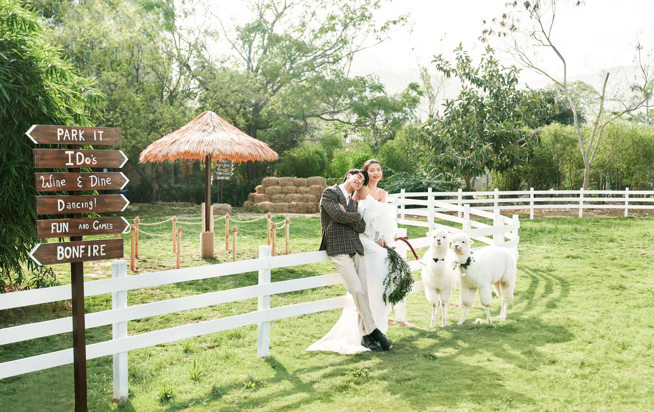 如何拍好看的婚纱照拍照技巧,如何拍出简单的婚纱照好看