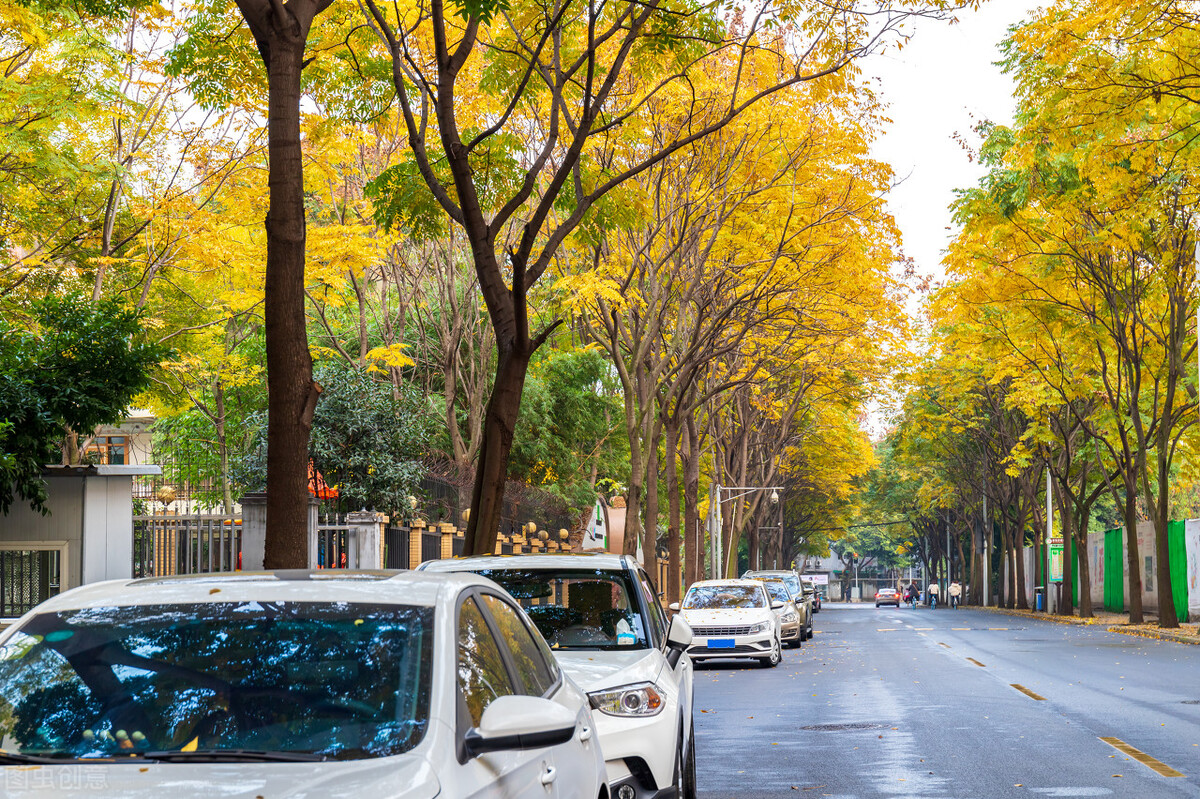 国家为什么大力发展辛集市,新乐市在河北的经济发展