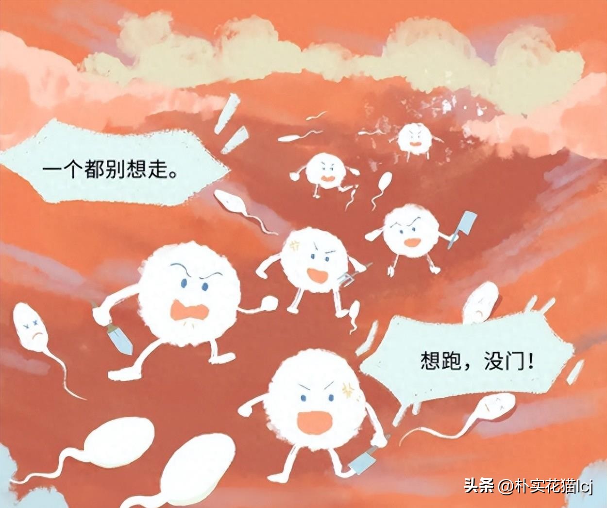 精子受孕未成功后去哪了,没有成功受孕的精子都去哪里了