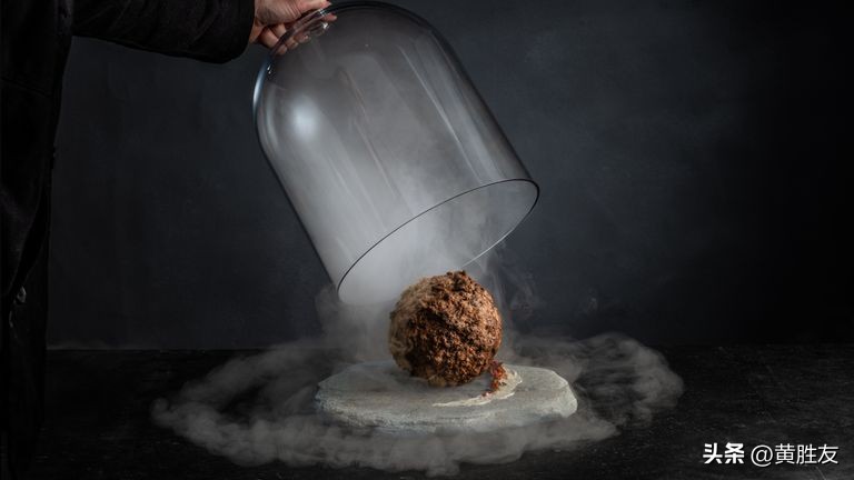 猛犸象制成肉丸,已灭绝猛犸象dna被培育制成肉丸