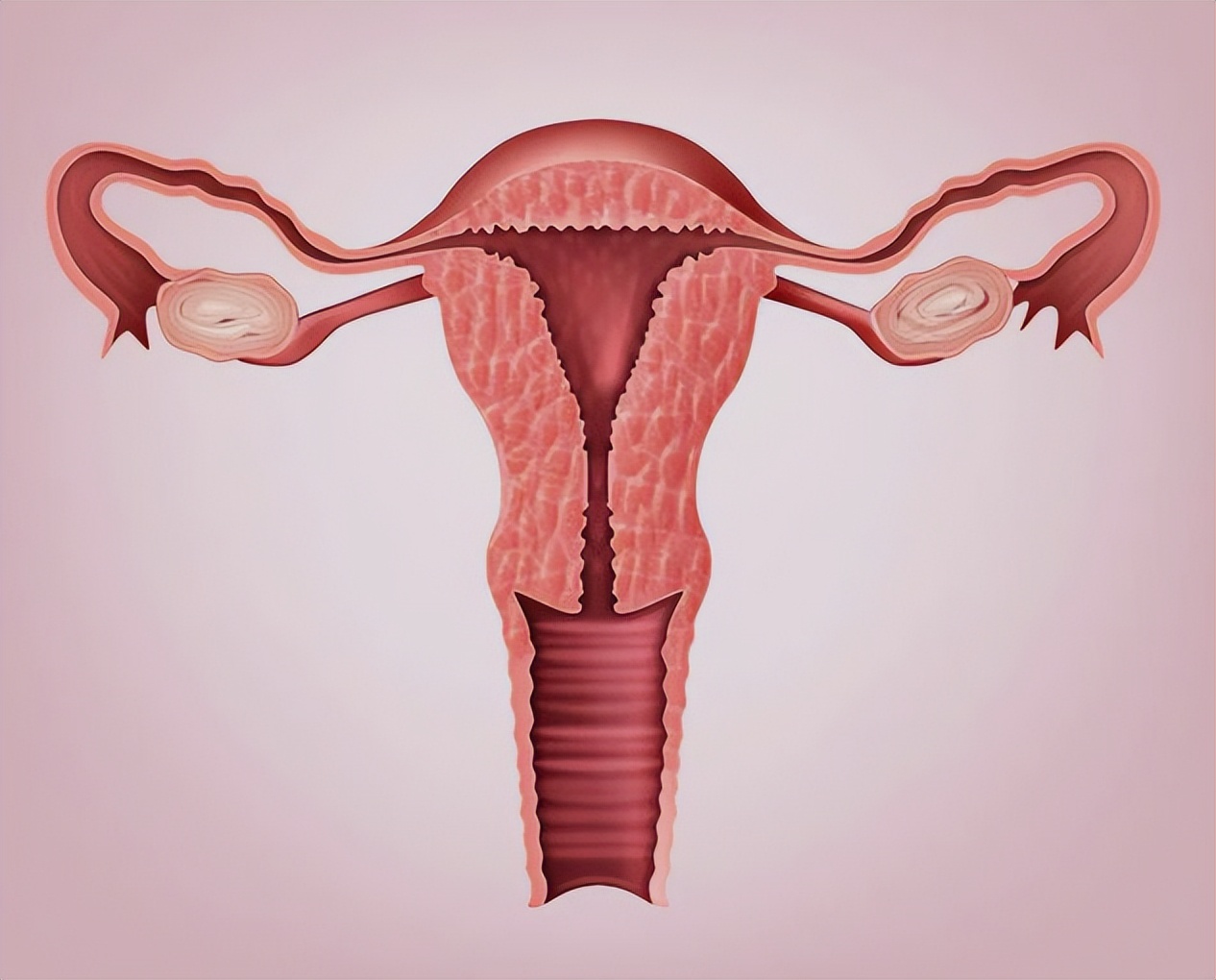 子宫萎缩和阴道萎缩,子宫萎缩多大年龄才正常