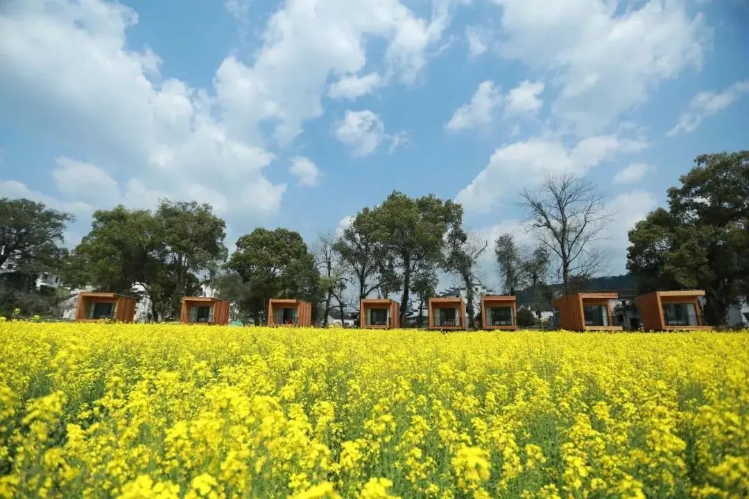 全球顶奢露营酒店,十大野奢帐篷酒店