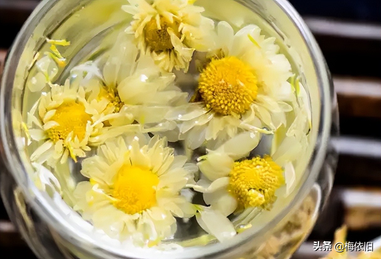 菊花茶好喝又好看清凉爽口,菊花茶榜单