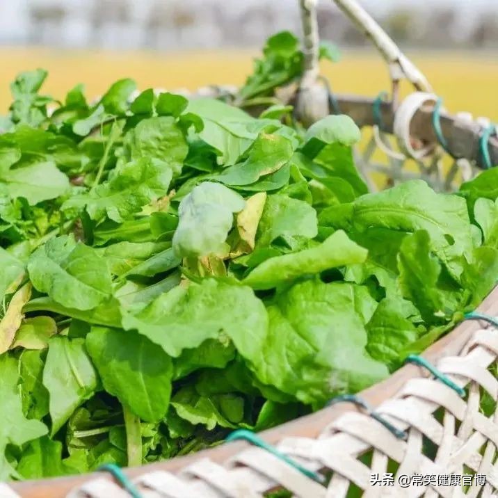春天值得尝的4种野菜新鲜又营养,春天必吃四种野菜