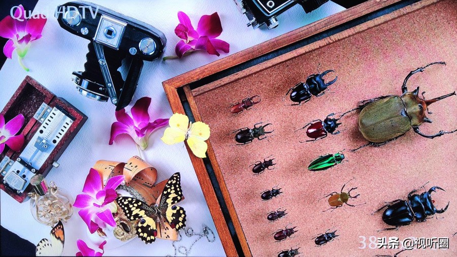 飞利浦75寸8388电视机测评,飞利浦fidelio5.1