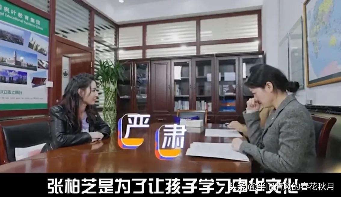 上海张柏芝的视频,香港影星张柏芝