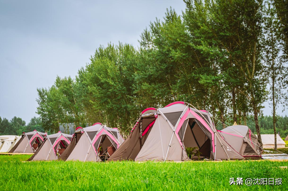 有山有水适合露营的地方沈阳,沈水之阳我心向往节目单