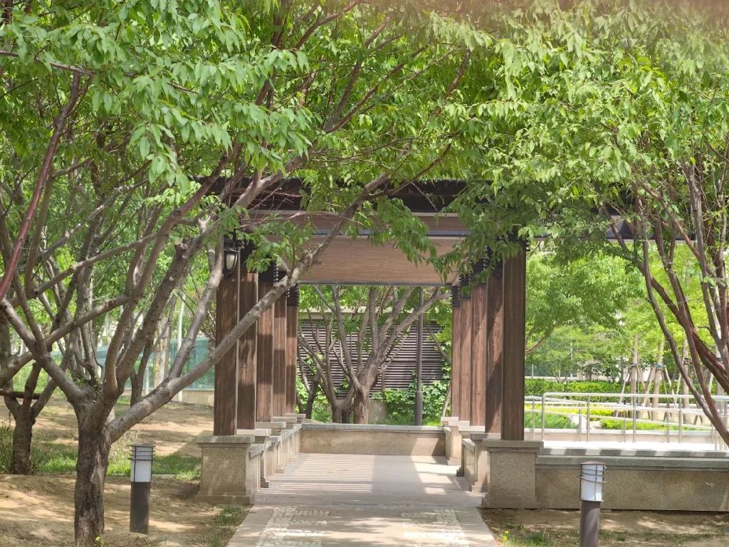 谁是影像机皇,谁才是手机机皇