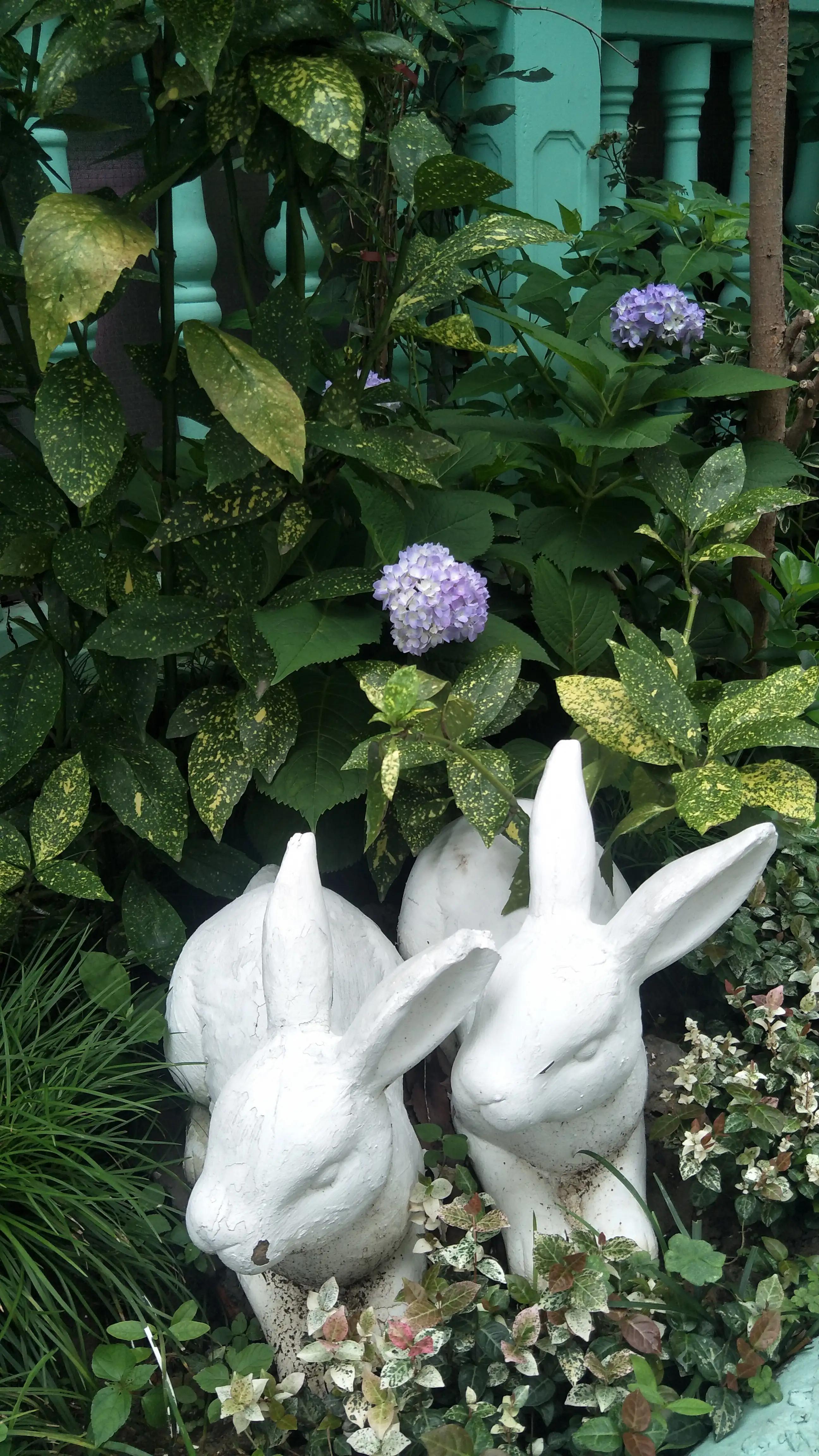 松江泰晤士小镇照片,松江泰晤士小镇