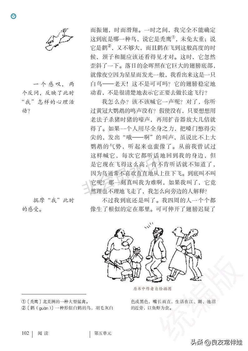 七年级语文课本电子完整版,七年级上册语文教材基础知识手册