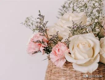 春季护肝的花,可以养肝护肝的花