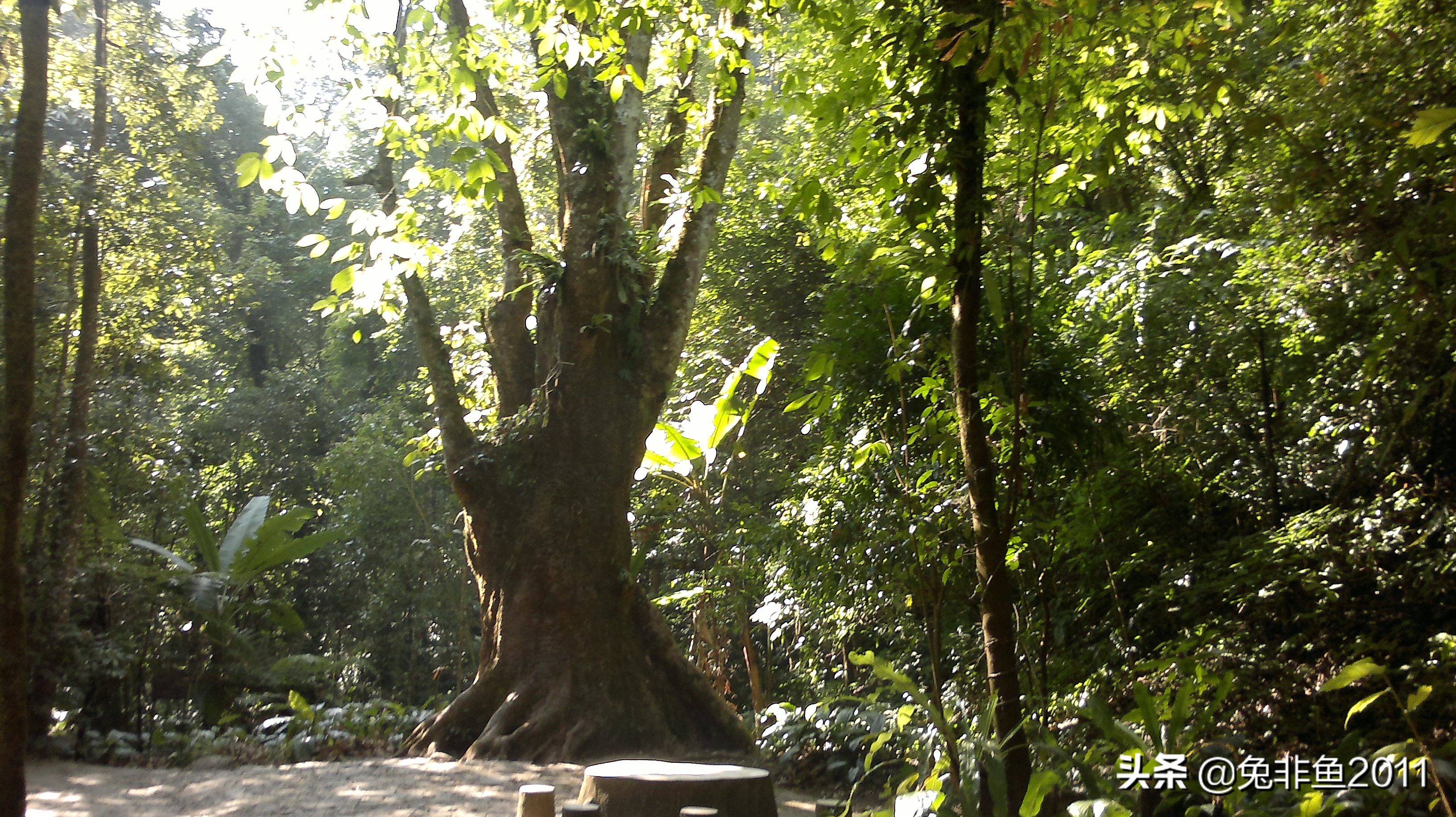 云南腾冲滇峰之旅,云南瑞丽中缅边境一日游