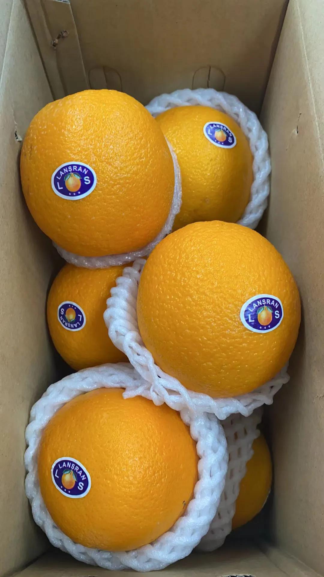 广东人爱吃的酸酸甜甜的水果,广东人爱吃的菜大全